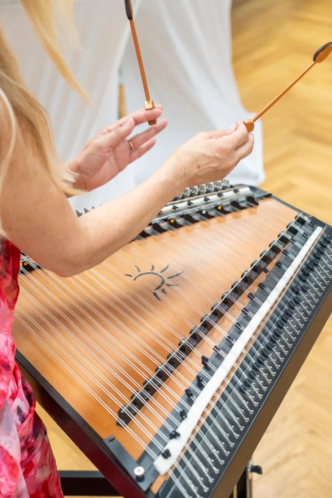 Salterina am Hackbrett – musikalische Begleitung der Buchpräsentation